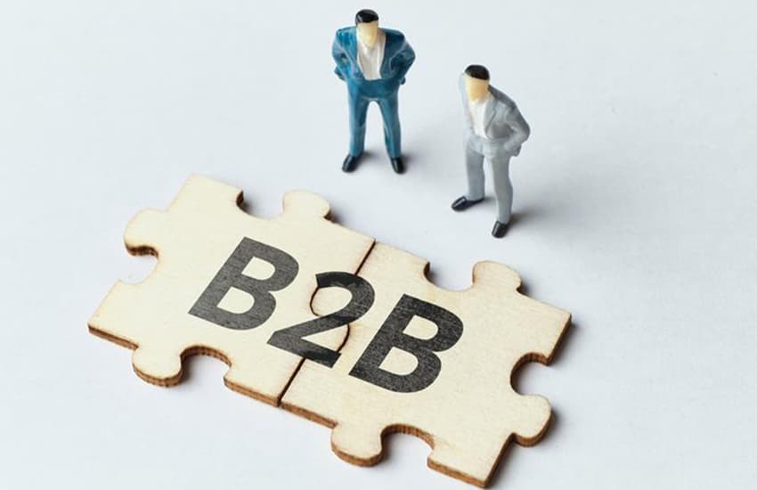 Transforming B2B Sales for a SaaS